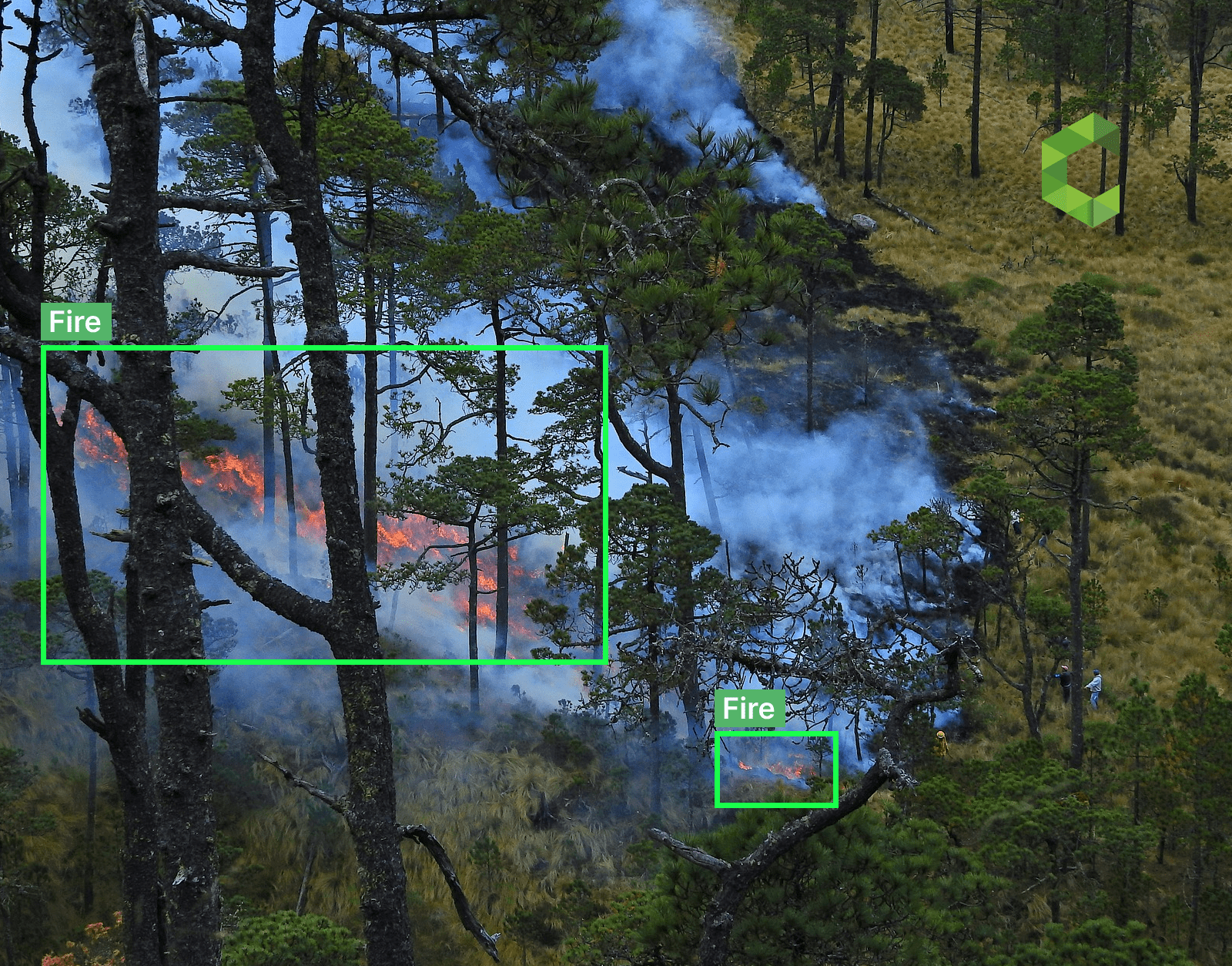 Wildfire Detection